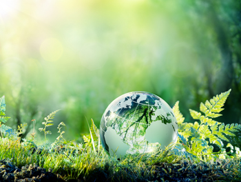 stock photo-globe-on-moss-in-forest-environmental-concept-1064192039